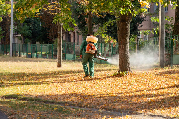 Best Cockroach Control Services  in Mcallen, TX